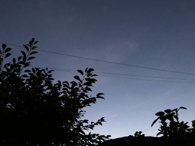 金曜日の夜なのに。_a0394574_22140610.jpeg