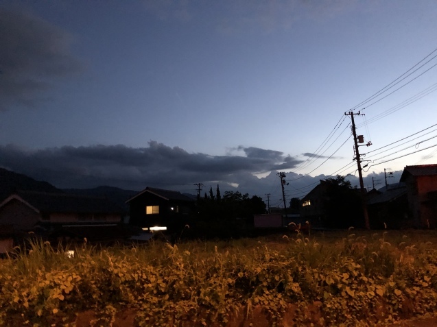 金曜日の夜なのに。_a0394574_22183714.jpeg