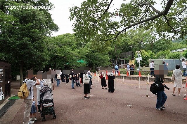 2020年6月 王子動物園8 その1_a0052986_7372928.jpg
