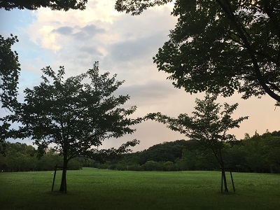 梅雨明けと王子の食欲。_f0372998_22053704.jpg