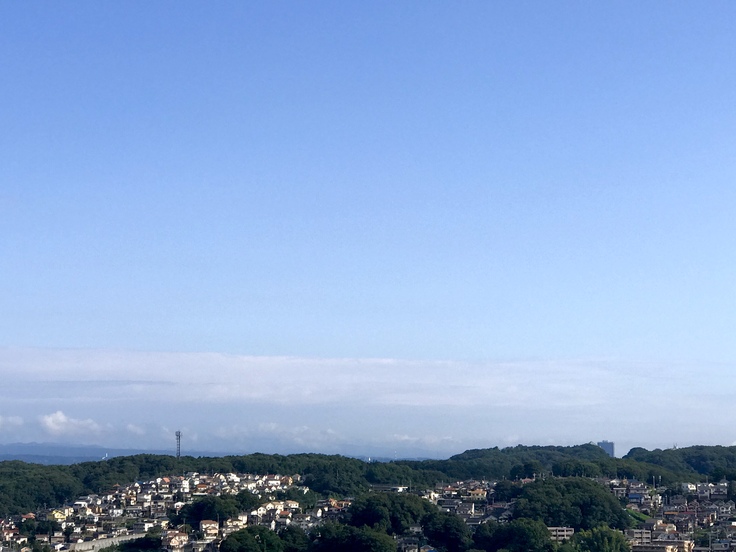 今日から8月。ようやく梅雨明け?_c0212604_734143.jpg