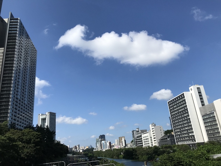 今日から8月。ようやく梅雨明け?_c0212604_845694.jpg