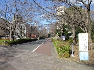 「こぴっと村(仮称)の提案」_b0211926_17315748.jpg