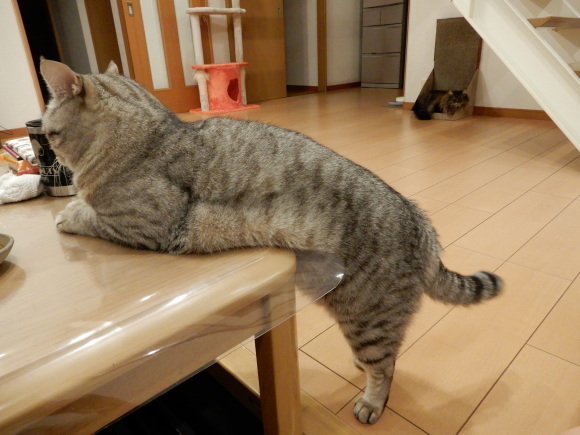 家飲み、立ち飲み_c0259945_14384029.jpg