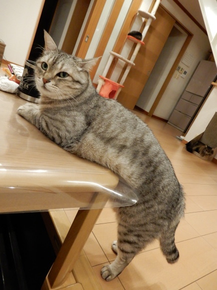 家飲み、立ち飲み_c0259945_14385572.jpg