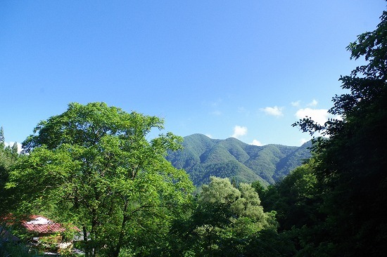 さあ 梅雨明けだ!!_f0114346_08155298.jpg