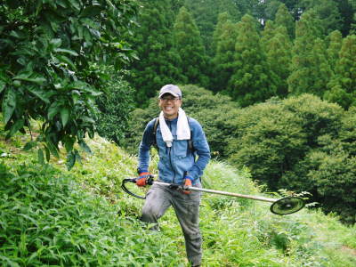 ザ・みかん 夏の草刈りと摘果前の果実の様子(2020)_a0254656_18063908.jpg