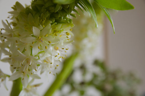 ♡_b0341471_16182423.jpg