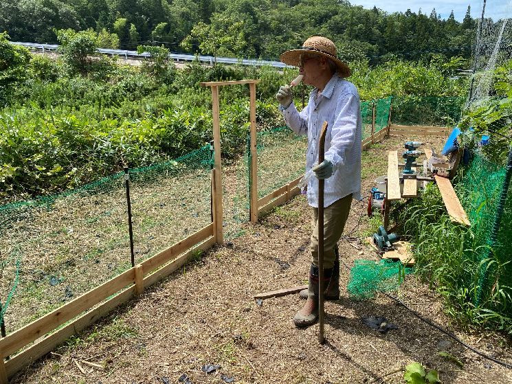 虫取りの役立たずの助っ人に_d0258871_22025237.jpg