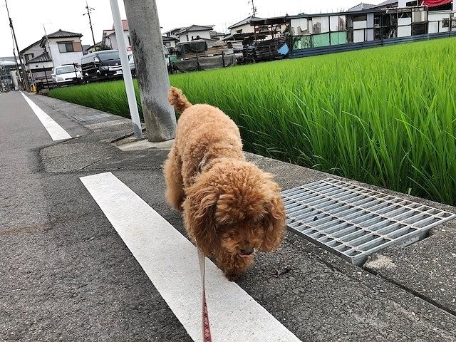 つぶやき。_b0111376_16191317.jpg