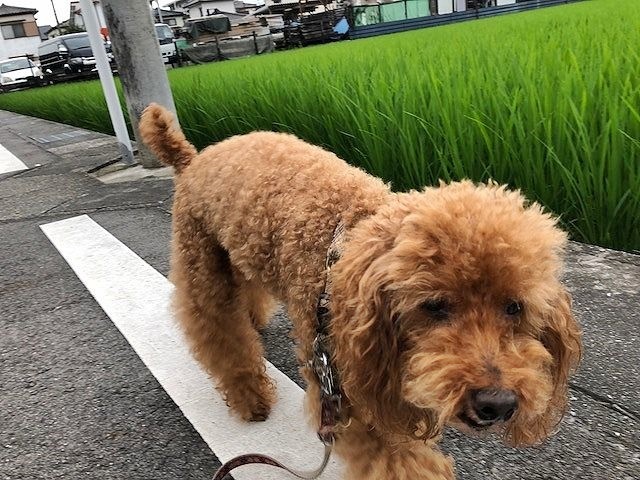 つぶやき。_b0111376_16215632.jpg