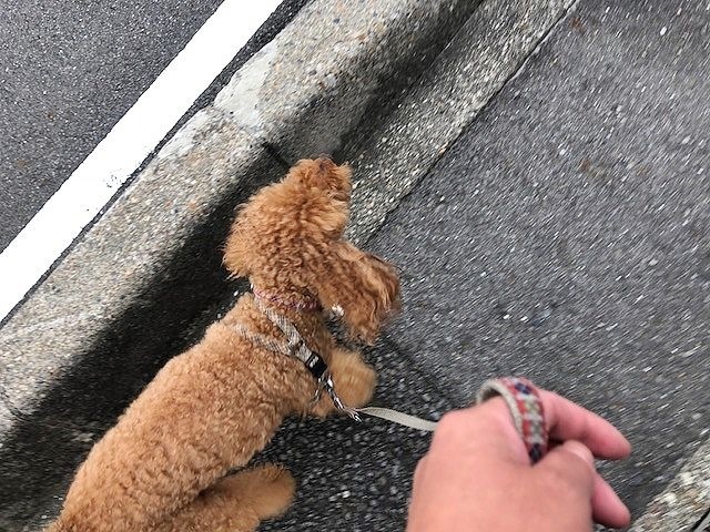 つぶやき。_b0111376_16222710.jpg