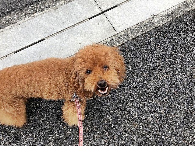 つぶやき。_b0111376_16234195.jpg