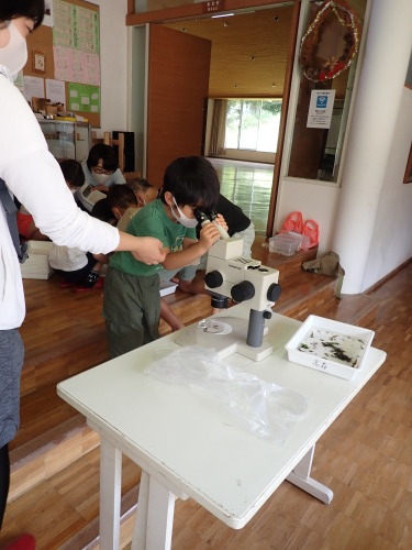 8/1(土) 月イチさんぽ ~水辺の生き物~ 開催しました!_f0212679_16123000.jpg