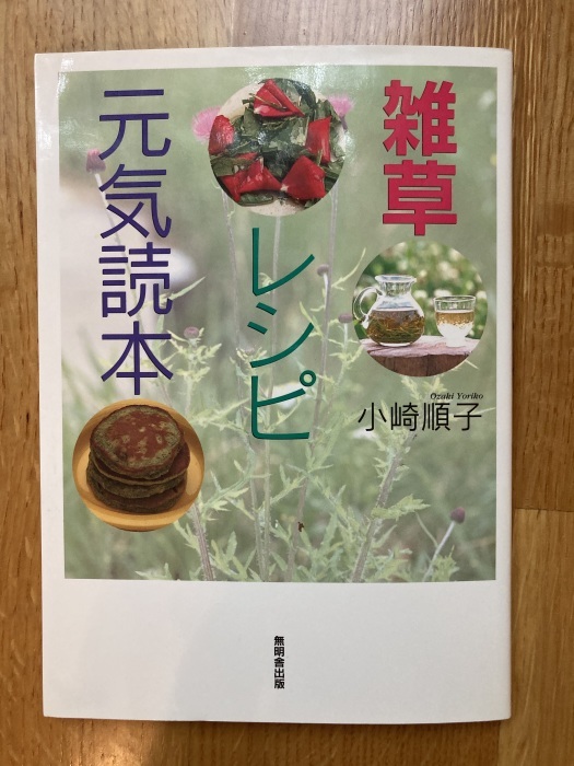 アメリカで食べられる雑草アカザを移植 我が家の茗荷初収穫について じゃポルスカ楽描帳 アメリカで食べられる雑草アカザを移植 我が家の茗荷初収穫について じゃポルスカ楽描帳