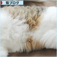 元祖・兄妹_a0389088_18454364.jpg