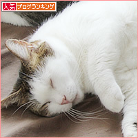 元祖・兄妹_a0389088_18454484.jpg