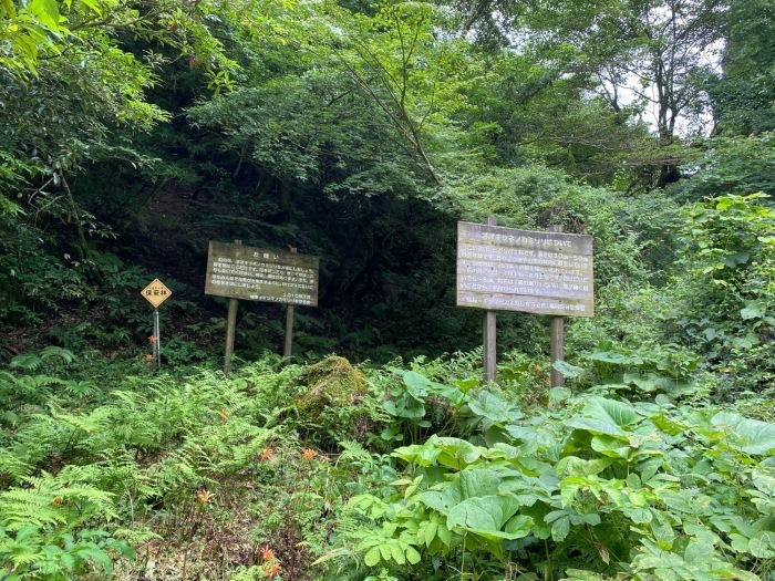 仕事がヒマなので、やけくそで山登り〜井原山_f0232994_14114600.jpg