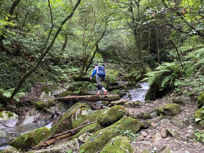 仕事がヒマなので、やけくそで山登り〜井原山_f0232994_14130122.jpg