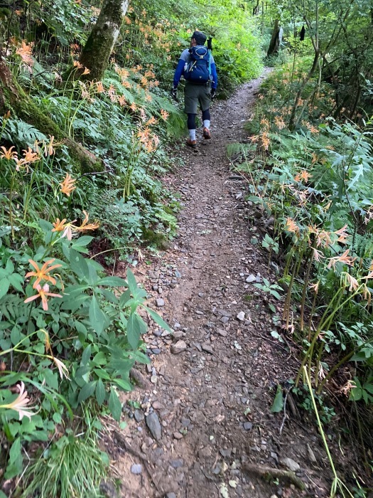 仕事がヒマなので、やけくそで山登り〜井原山_f0232994_14151192.jpg