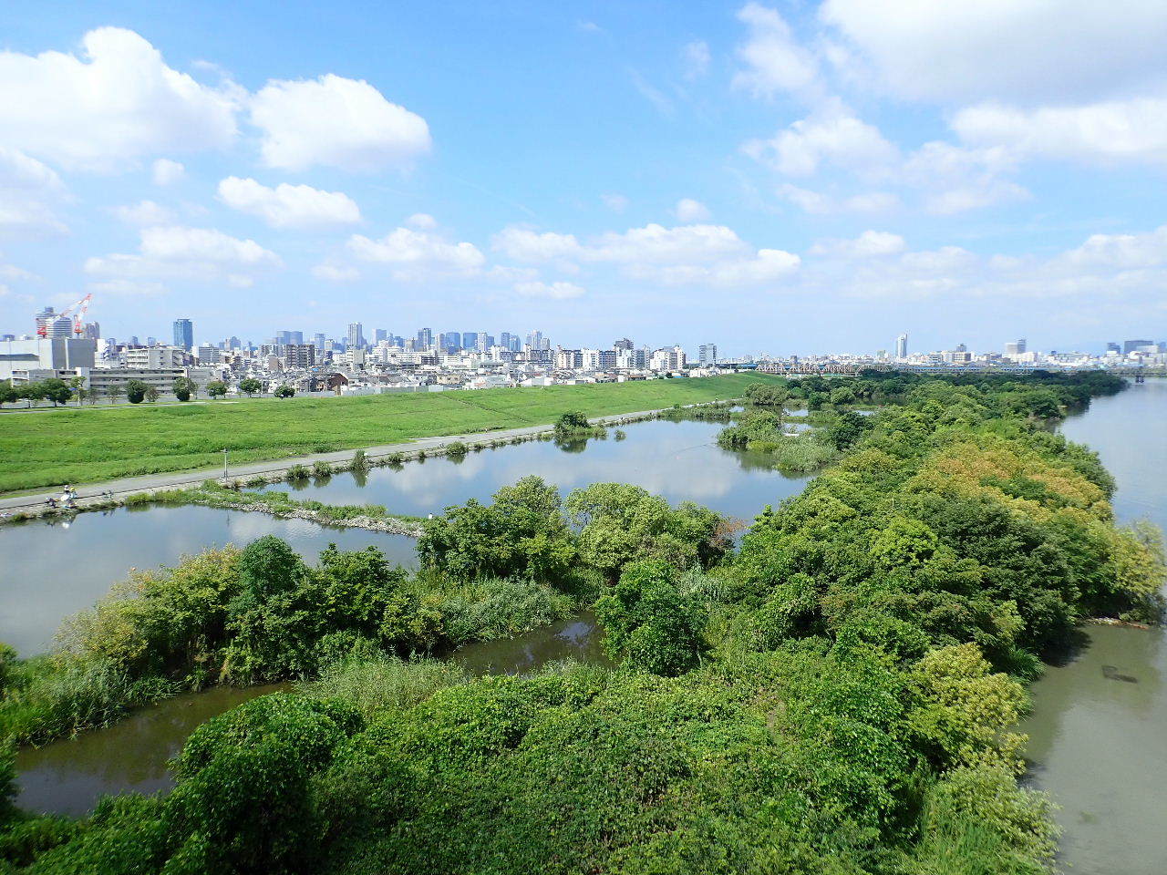 【ご報告】城北定例保全活動9_a0263106_02463666.jpg