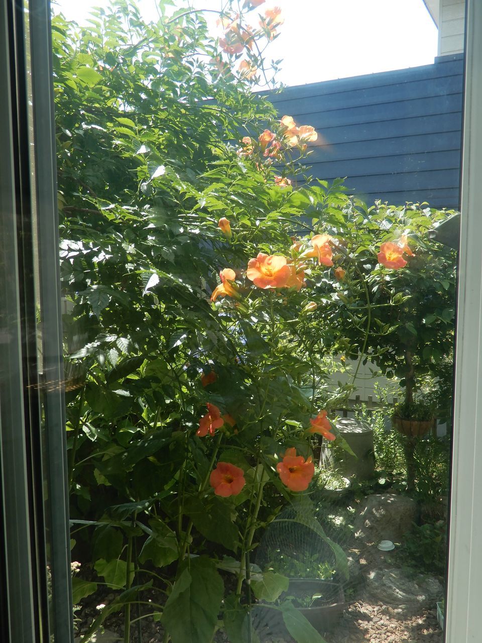 そろそろ夏も終わる?_c0025115_22463574.jpg