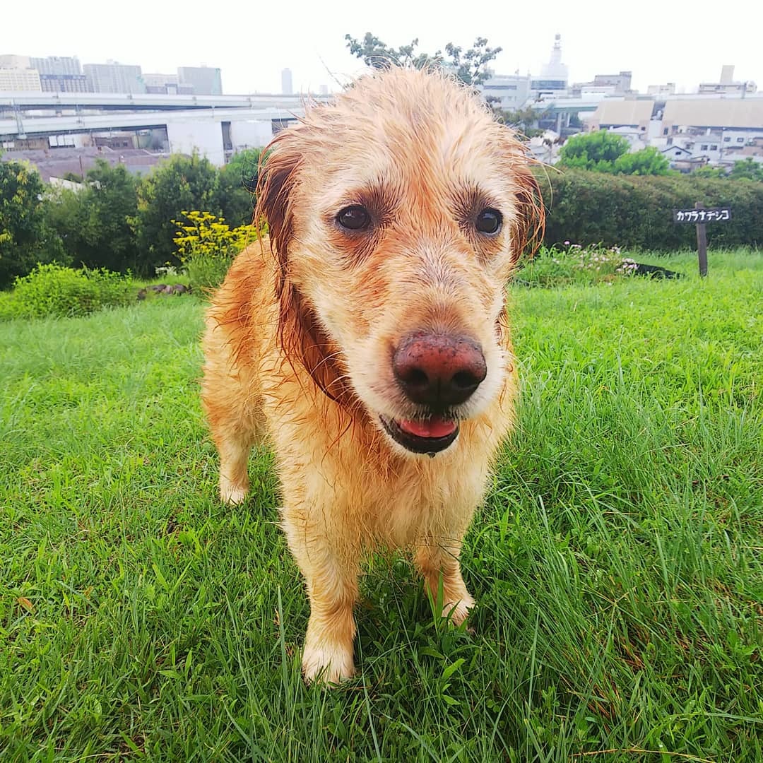 8月に入りました。_a0098418_22530096.jpg