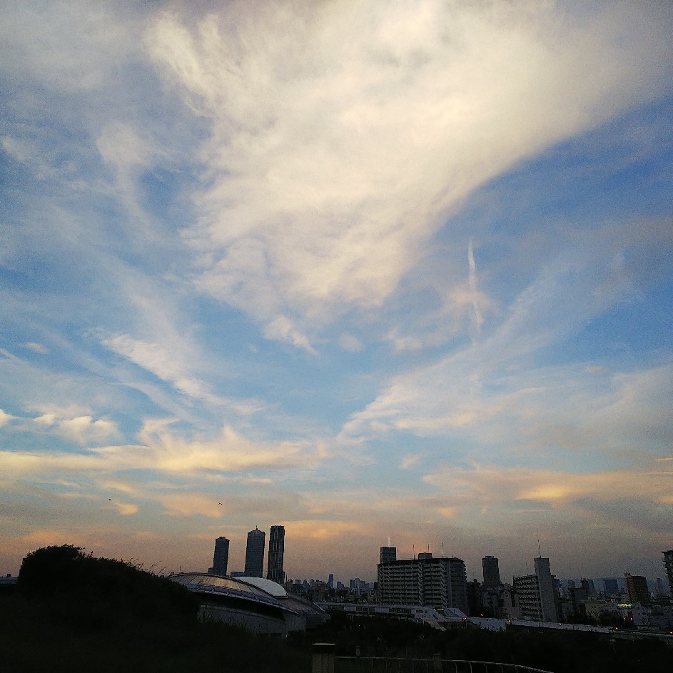 8月に入りました。_a0098418_22562940.jpg