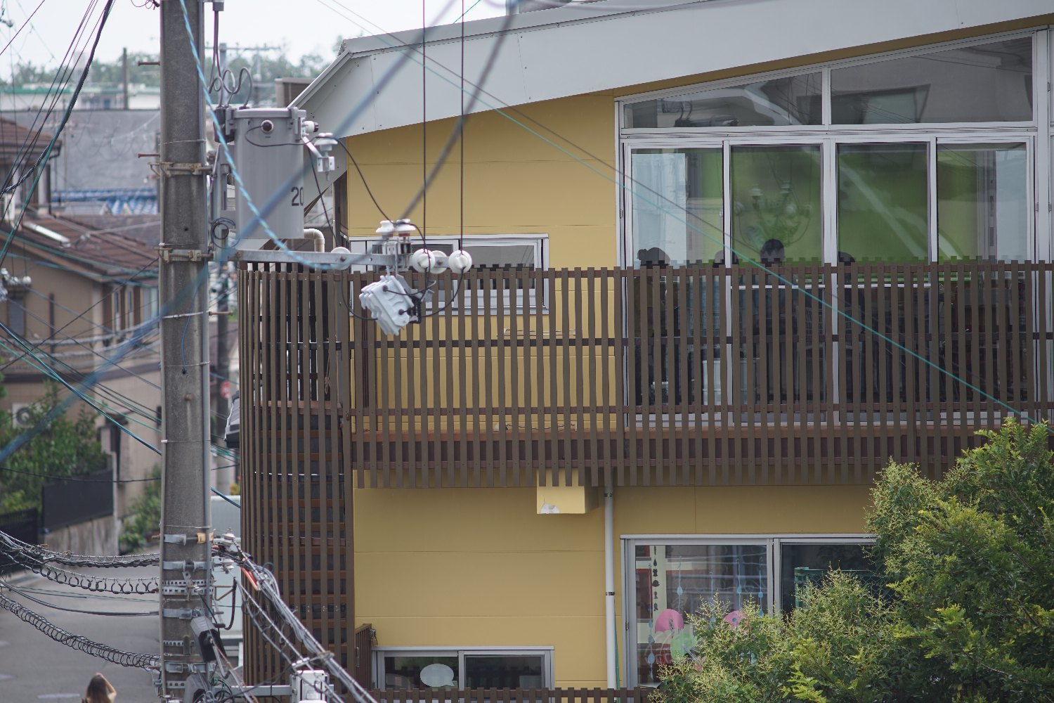 単焦点200mmレンズの楽しみ キヤノン FL 200mm F4.5 で_b0069128_08171916.jpg