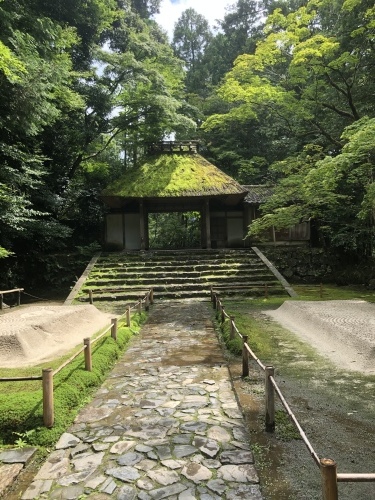 雨上がりの法然院へ_a0197730_15270809.jpeg