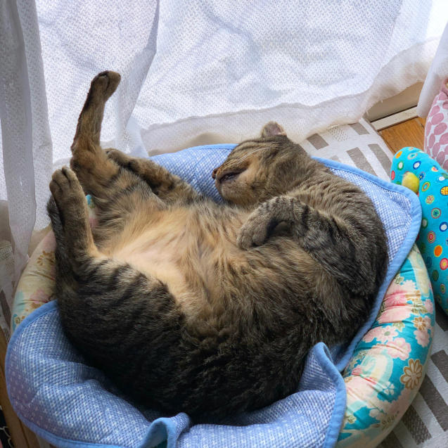 なんでもとりあえず。_d0355333_22412364.jpg