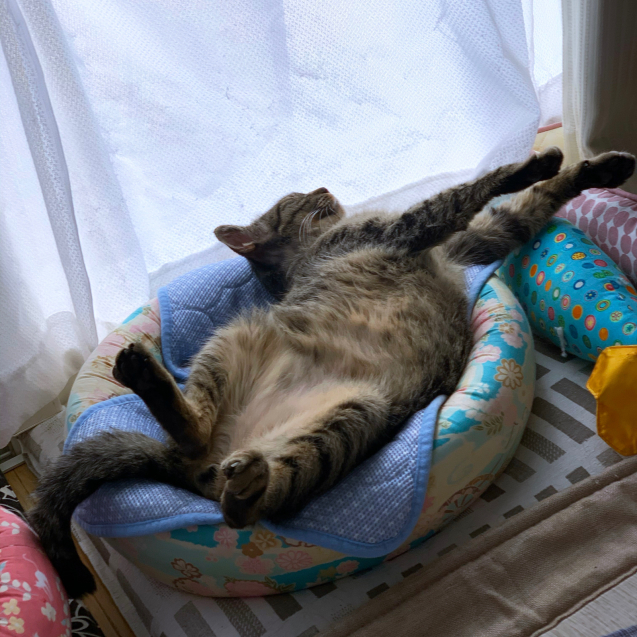 なんでもとりあえず。_d0355333_22412690.jpg