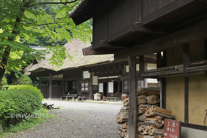 益子　大人の遠足　～盛沢山な６時間コース～_e0227942_17433096.jpg