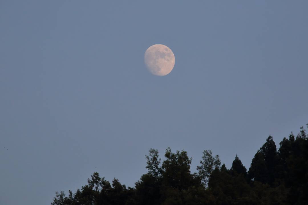 夕焼けと向日葵_e0403850_21034092.jpg