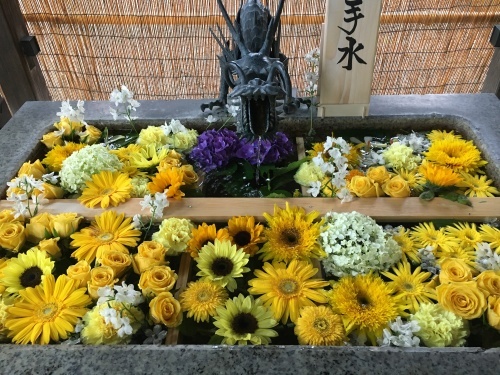 とうとう8月けだるい夏_e0326953_18491047.jpeg
