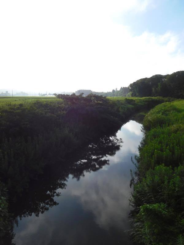梅雨明け?_e0024554_21004680.jpg