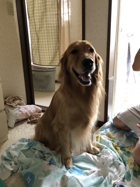 バスタイム。_a0394574_09150022.jpeg