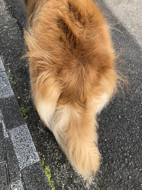 バスタイム。_a0394574_09160688.jpeg