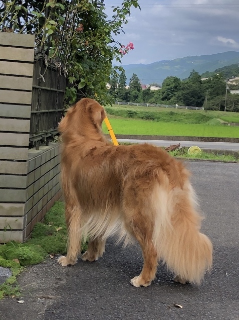 バスタイム。_a0394574_09174873.jpeg