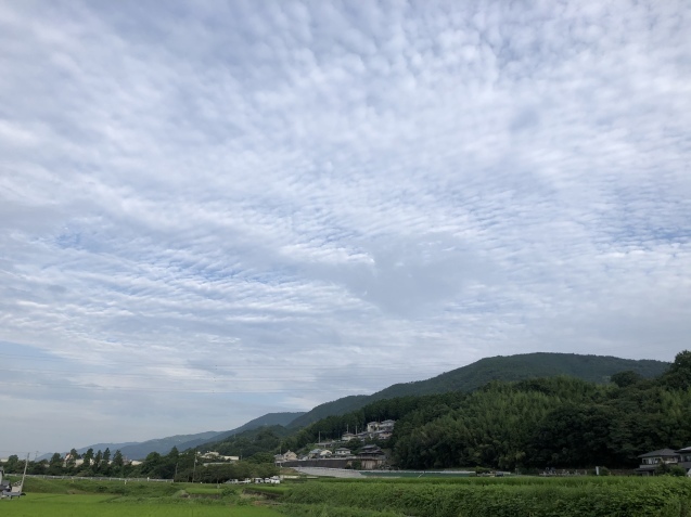 バスタイム。_a0394574_09273296.jpeg