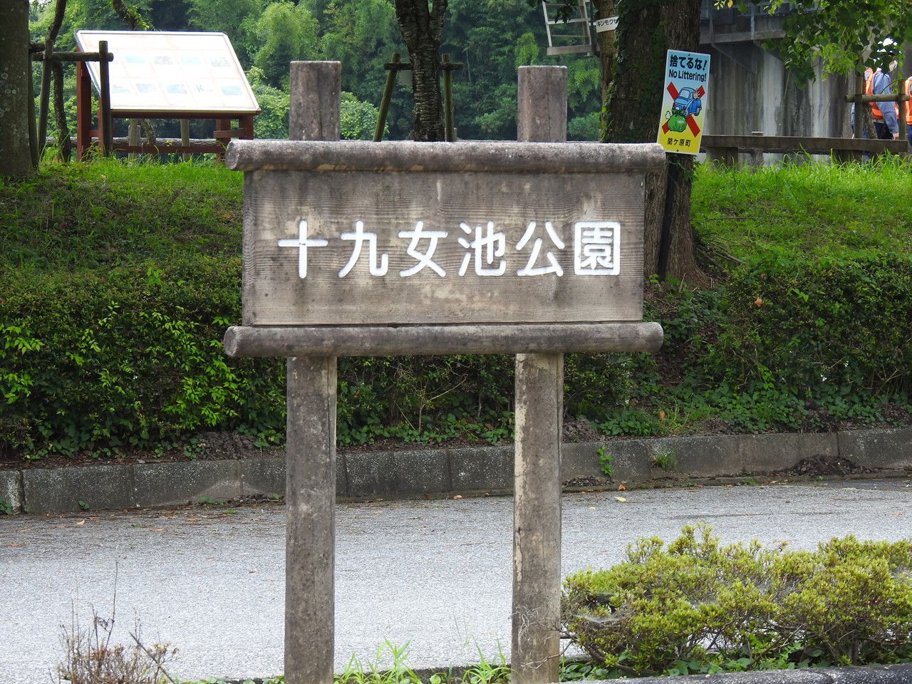 『十九女池の睡蓮(スイレン)と・・・・・』_d0054276_2062935.jpg