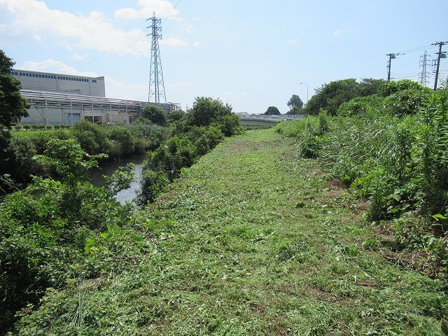 やっと梅雨が明けた! 「そうだ!沼川プロジェクト」で滝川の草刈り清掃_f0141310_07483149.jpg