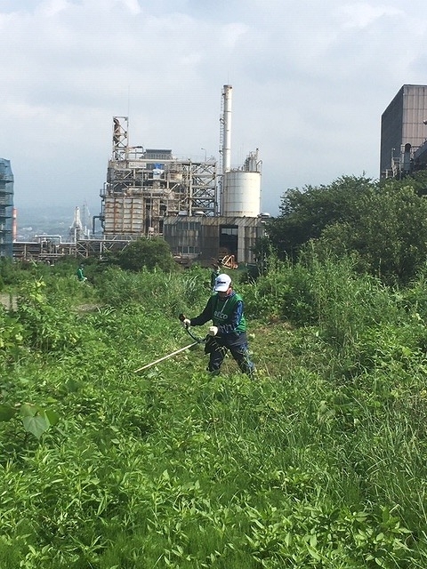やっと梅雨が明けた! 「そうだ!沼川プロジェクト」で滝川の草刈り清掃_f0141310_07491559.jpg