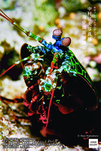 中村征夫氏 写真展「海中顔面博覧会」_b0187229_14155174.jpg