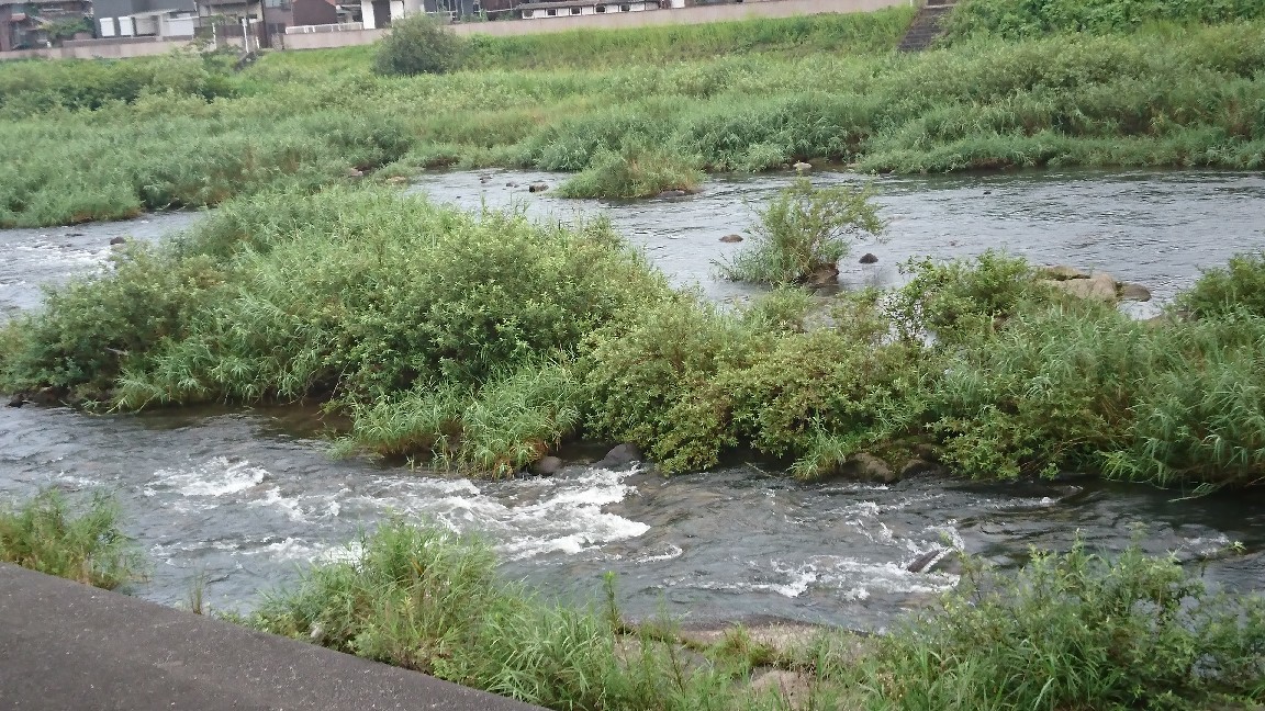8月3日 河川情報。午..._c0266737_06050712.jpg