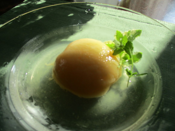食べ収めになるサクランボ&大きなハチの巣、多分スズメバチ_a0279743_08110253.jpg