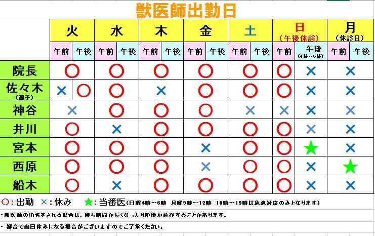 今週の獣医師勤務表(7月28日～8月3日）_c0174644_10254288.jpg