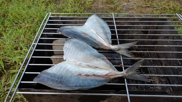 9ヵ月ぶりのおでかけ_e0086244_08495644.jpg