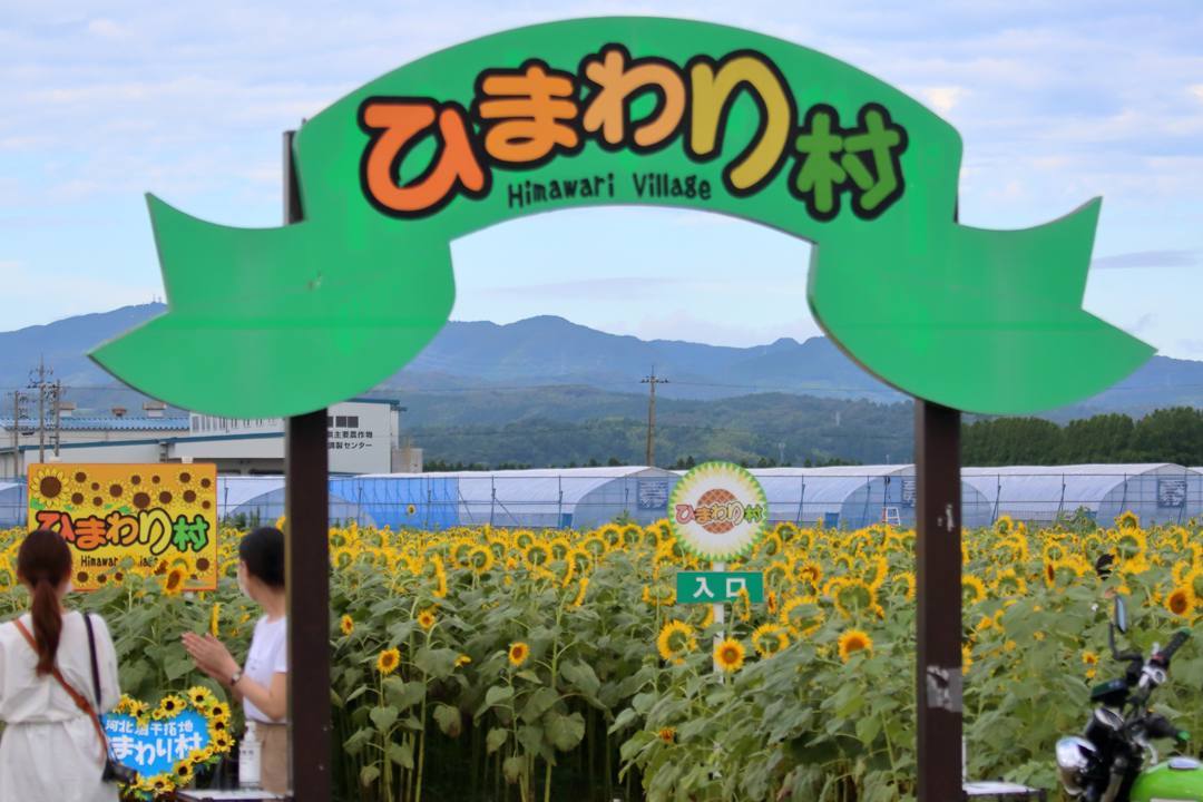 ひまわり村_e0403850_21054109.jpg