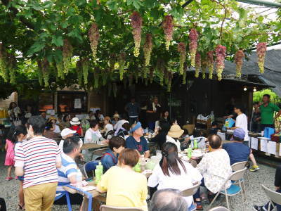 熊本ぶどう 社方園 高級種なしぶどうを大好評販売中!令和3年の社方園の「ぶどう祭り」は中止です! _a0254656_17553143.jpg